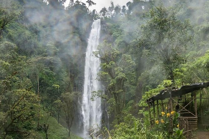 Materuni Waterfalls, coffee tour & Kikuletwa Hot Springs - What to bring for a better day