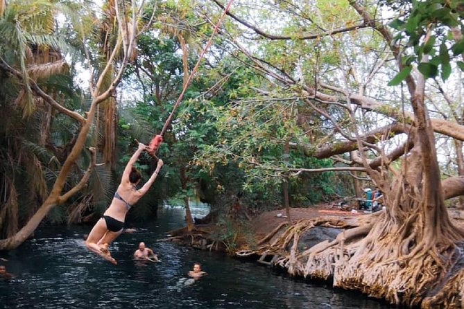 Materuni Waterfalls, coffee tour & Kikuletwa Hot Springs - Who should book this tour?