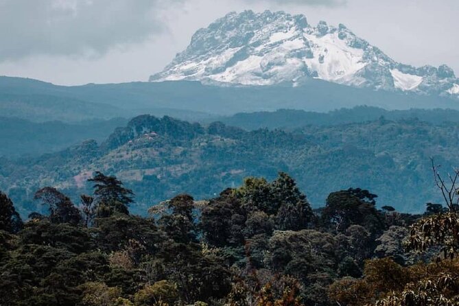 Materuni Waterfalls, coffee tour & Kikuletwa Hot Springs - Coffee, Chagga traditions, and lunch at Materuni