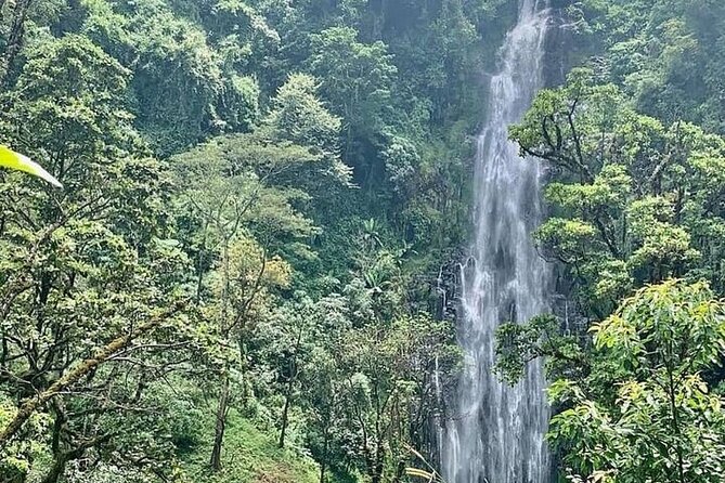 Materuni Waterfalls, Kikuletwa Chemka Hot springs, Coffee tour - Five things to know before you book