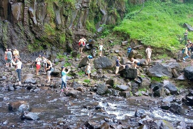 Materuni Waterfalls, Kikuletwa Chemka Hot springs, Coffee tour - Who will get the most from the $100 price