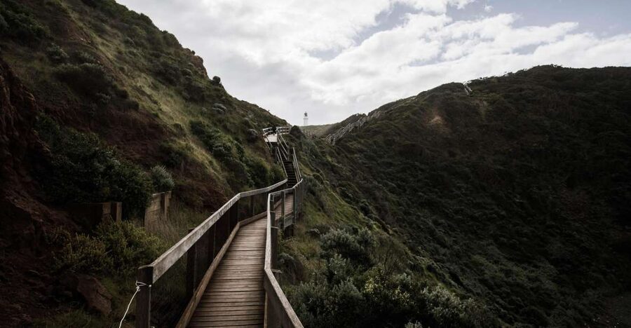 Melbourne: Mornington Peninsula & Hot Springs Tour 8 pax max - Bushrangers Bay: the main 5km coastal walk