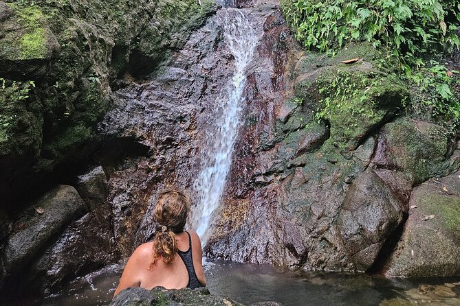 Mindfulness Rainforest Hike, Forest Bathing, Volcanic Hot Springs - A rainforest walk with a slower purpose