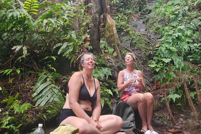 Mindfulness Rainforest Hike, Forest Bathing, Volcanic Hot Springs - What the $175 price gets you