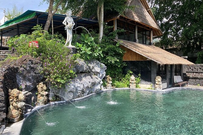 Monkey Forest, Holy Water Temple & Hot Springs Tours - Reading the rice terraces at Tegalalang