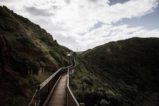 Mornington Peninsula Hike and Hot Springs Day Tour - 8 people max - Why this day works so well from Melbourne