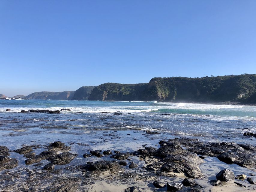 Mornington Peninsula: SUP, Hike, & Hot Springs Trip w/ Lunch - Who should book this experience