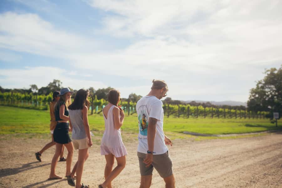 Mornington Peninsula: SUP, Hike, & Hot Springs Trip w/ Lunch - Why this Mornington Peninsula day works so well