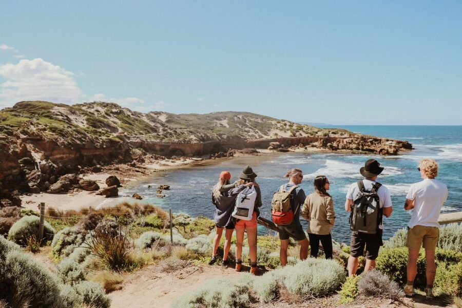 Mornington Peninsula: SUP, Hike, & Hot Springs Trip w/ Lunch - Wine, a farm gate, and a picnic with a view