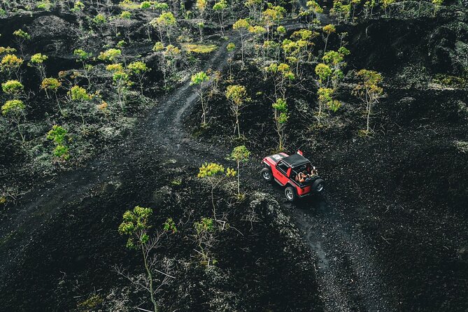 Mount Batur 4WD Jeep, Breakfast and Hot Spring All Inclusive - Getting from Ubud to Mount Batur before sunrise