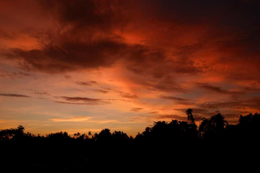 Mount Batur Sunrise Trek & Hot Springs Tour - The climb: short on paper, serious in places