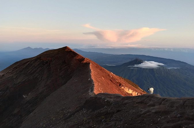 Mount Batur Sunrise Trekking, Hot Springs & Lunch at Restaurant - Buffet lunch with Mount Batur and Lake Batur views