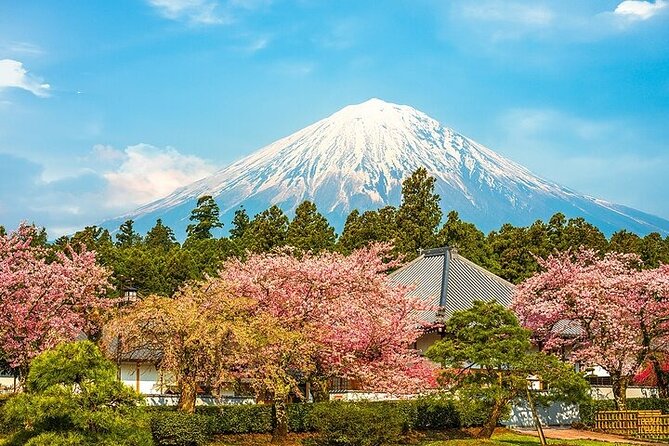 Mount Fuji 5th Station, Arakurayama, Oshino Hakkai and Hot Spring - What this Mount Fuji day trip really offers