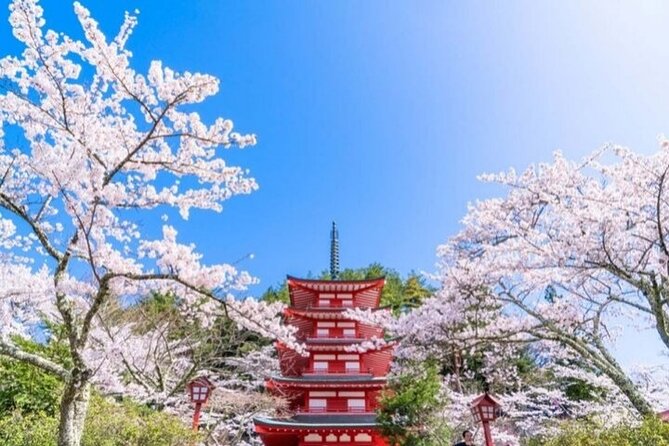 Mount Fuji 5th Station, Arakurayama, Oshino Hakkai and Hot Spring - Oshino Hakkai and its eight clear springs