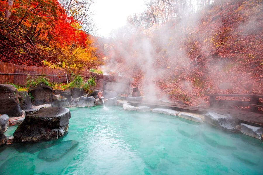 Mount Fuji - Hakone & Onsen Full Day Private Tour - What this private Hakone day is really like