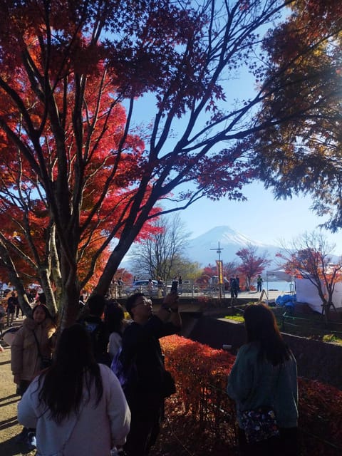 Mount Fuji - Hakone & Onsen Full Day Private Tour - Gotemba Premium Outlets adds a practical final stop