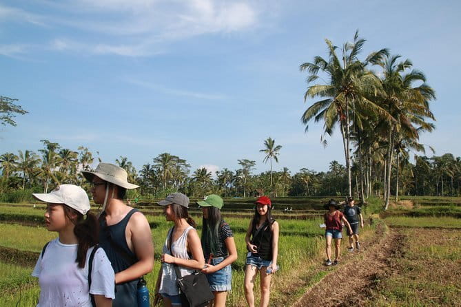 Mt Batur Sunrise Jeep & Natural Hot Spring Tour - Group size, comfort, and practical value