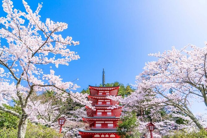 Mt. Fuji 5th, Oshino Hakkai, Onsen Full-Day Trip From Tokyo - Guides make a major difference