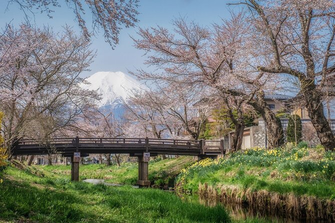 Mt. Fuji 5th Station, Oshino Hakkai and Hot Spring Day Trip - Oshino Hakkai and the water from Fuji