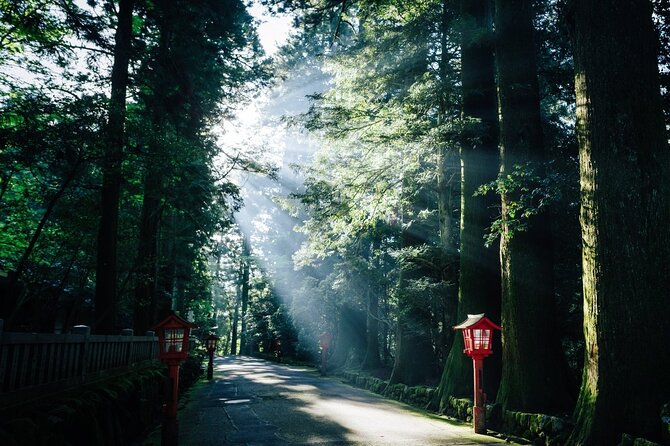 Mt. Fuji, Hakone Private Tour from Tokyo - Onsen, Arts and Nature - The onsen pause at Tenzan Tohji-kyo