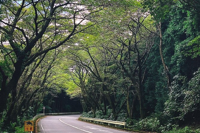 Mt. Fuji, Hakone Private Tour from Tokyo - Onsen, Arts and Nature - Hakone’s museums after lunch