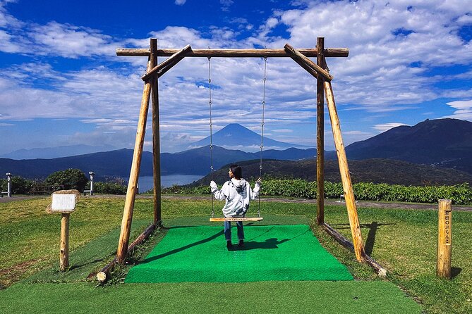 Mt. Fuji, Hakone Private Tour from Tokyo - Onsen, Arts and Nature - Transport, timing, and the price question