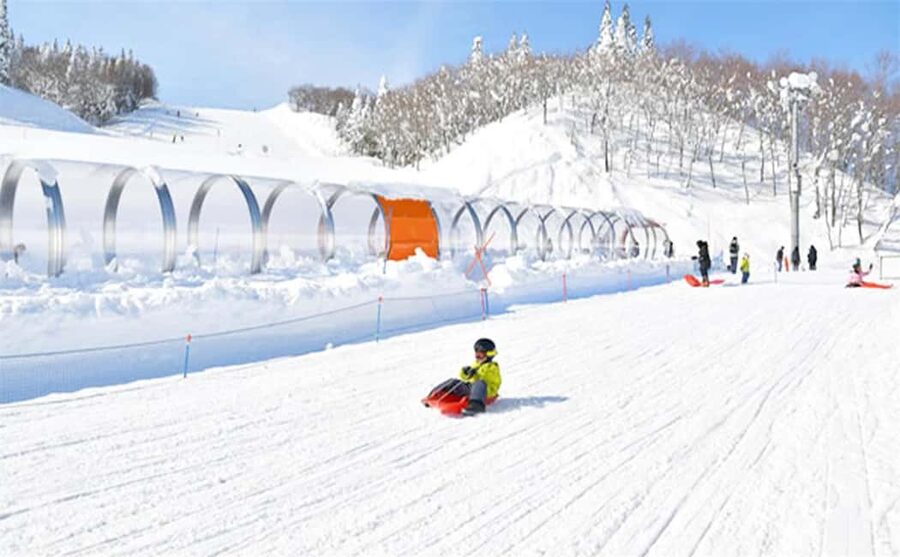 Mt. Fuji Skiing Experience- YETI Ski Resort & Onsen Day Trip - Is the $90 price good value?