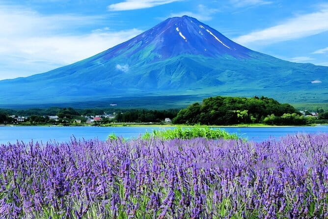 Mt Fuji Small Group 1 Day Tour Kawaguchi and Yamanaka with Pickup - Key Points Before You Book