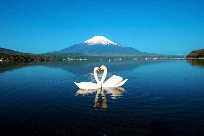 Mt Fuji Small Group 1 Day Tour Kawaguchi and Yamanaka with Pickup - Starting at Tokyo Station