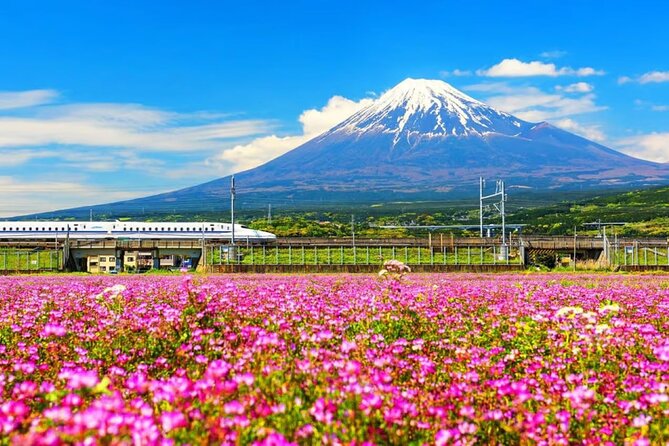 Mt. Fuji to Lake Kawaguchi, Lake Yamanaka and Onsen Day Tour - Five useful things to know before booking