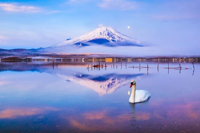 Mt. Fuji to Lake Kawaguchi, Lake Yamanaka and Onsen Day Tour - Arakurayama Sengen Park and the famous pagoda view
