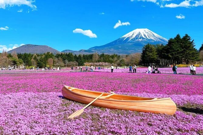 Mt. Fuji to Lake Kawaguchi, Lake Yamanaka and Onsen Day Tour - The optional hot spring visit