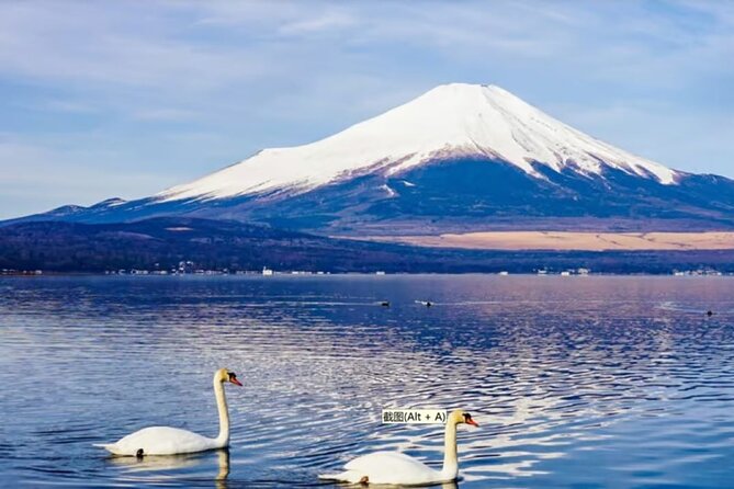 Mt. Fuji to Lake Kawaguchi, Lake Yamanaka and Onsen Day Tour - Transport, group size, and the long day