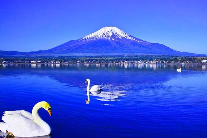 Mt. Fuji to Lake Kawaguchi, Lake Yamanaka and Onsen Day Tour - What the $115 price really buys