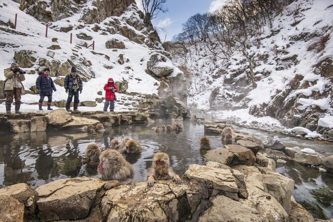 Mt. Fuji Tours to Lake Kawaguchi and Yamanaka Onsen English Guide - Mt. Fuji Fifth Station from April through September