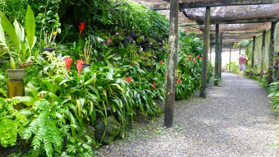 Nadi: Garden Village Hot Spring & Temple Highlights Tour - Who Should Book This Tour?