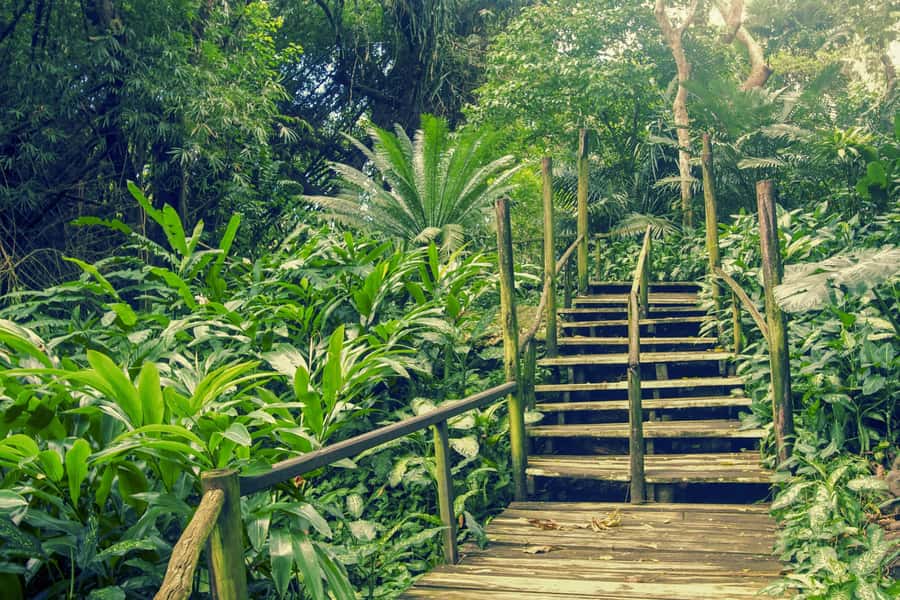 Nadi: Garden Village Hot Spring & Temple Highlights Tour - Tappoo and the Market: Useful Stops With Limits