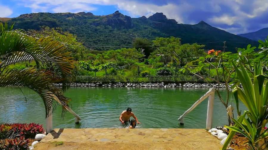 Nadi: Garden Village Hot Spring & Temple Highlights Tour - Guides, Drivers, and the Feel of the Ride