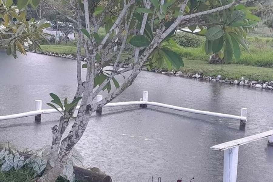 Nadi: Garden Village Hot Spring & Temple Highlights Tour - Is $75 Good Value?