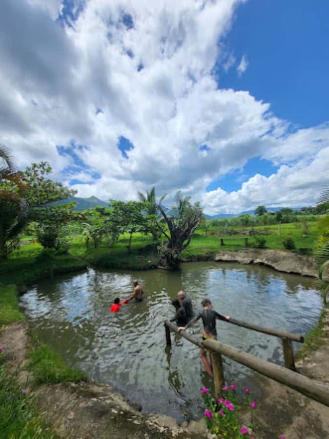 Nadi: Mud Pool and Hot Spring Private Tour - Is $49 per person good value?