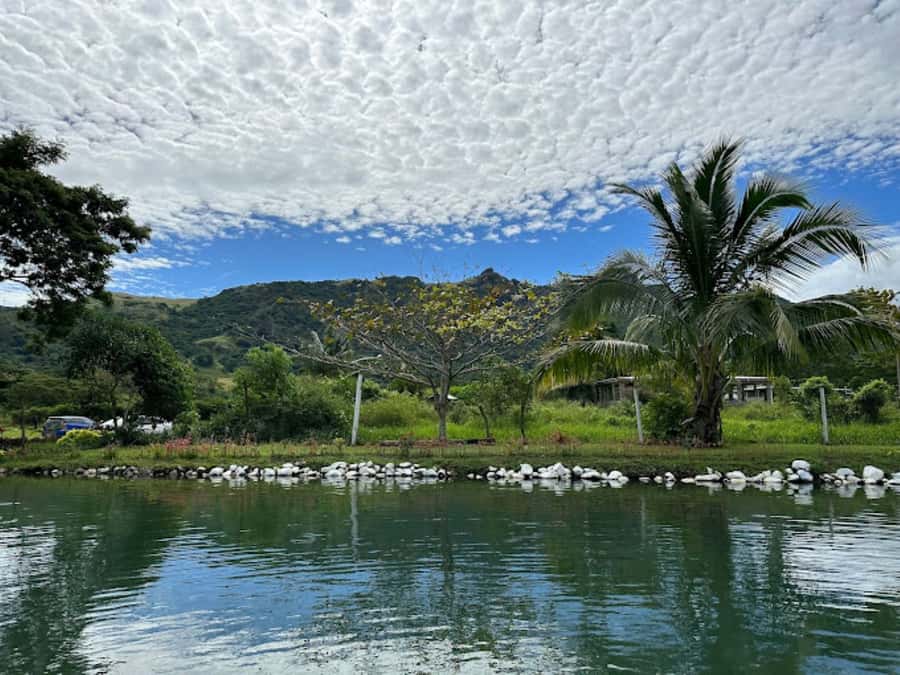 Nadi: Mud Pool and Hot Spring Private Tour - Who will enjoy this tour most?