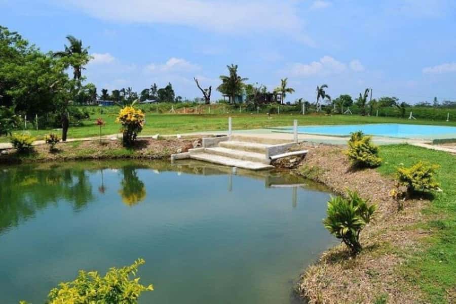 Nadi: Mud Pool and Hot Spring Private Tour - What the rating tells you about the experience
