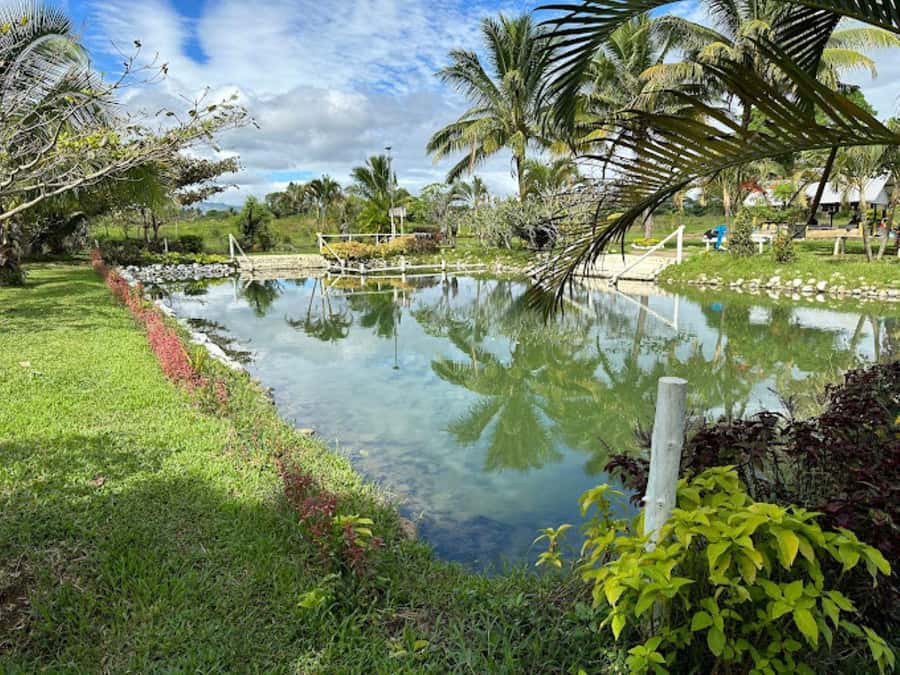 Nadi: Mud Pool and Hot Spring Private Tour - Arriving at Sabeto Hot Spring Mud Pool