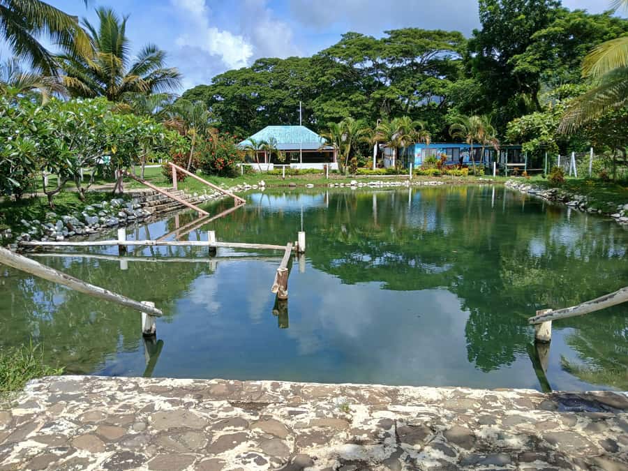 NADI-SABETO: Tifajek Hot Spring and Mudpool Natural Spa - Arriving at Sabeto Tifajek