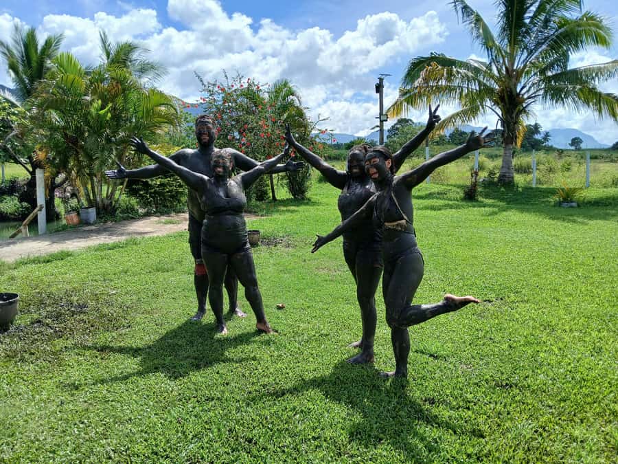 NADI-SABETO: Tifajek Hot Spring and Mudpool Natural Spa - The drive through cane fields and villages