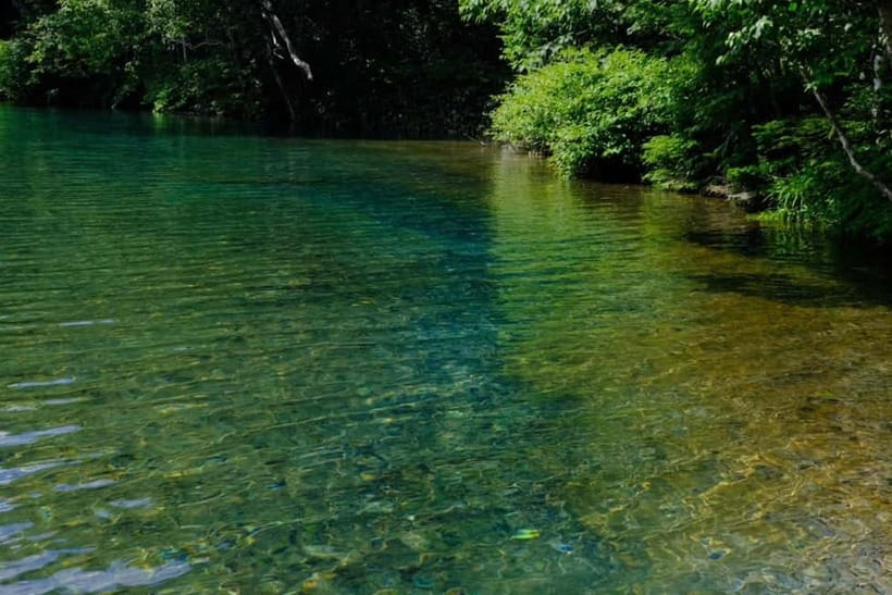 Nagano UNESCO Park: Emerald Acid Lake & Ghibli Onsen Town - At a Glance