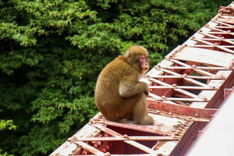 Nagano UNESCO Park: Emerald Acid Lake & Ghibli Onsen Town - Shibu Onsen and Its Ghibli-Like Mood