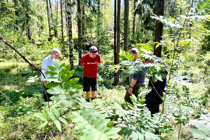 National Park Hike & Finnish Smoke Sauna Experience with Campfire Lunch - Why the smoke sauna is the real finale
