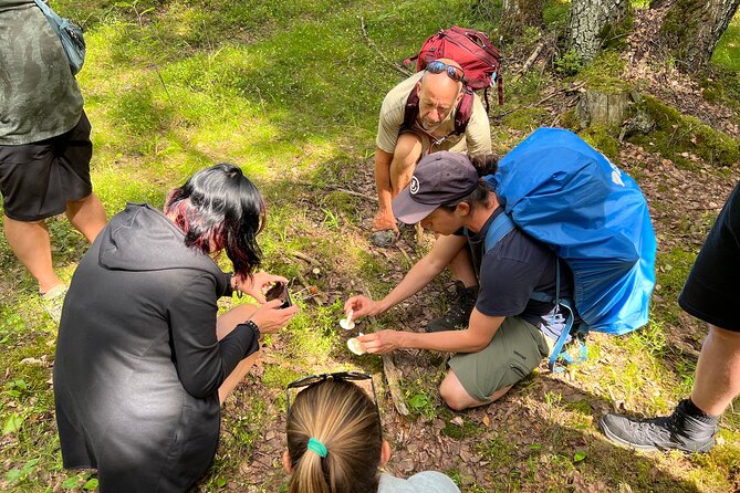 National Park Hike & Finnish Smoke Sauna Experience with Campfire Lunch - Booking, weather, and practical details