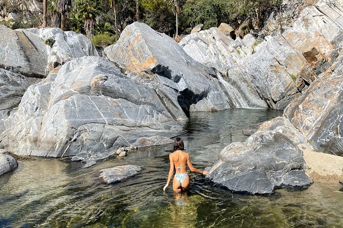 Natural Hot Springs Experience - Why This Hot Springs Trip Is Different From Cabo’s Usual Excursions